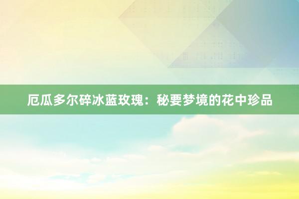 厄瓜多尔碎冰蓝玫瑰：秘要梦境的花中珍品