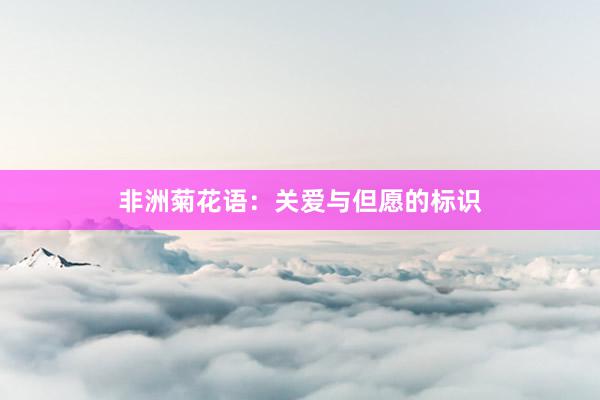 非洲菊花语：关爱与但愿的标识
