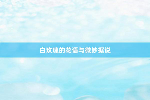 白玫瑰的花语与微妙据说