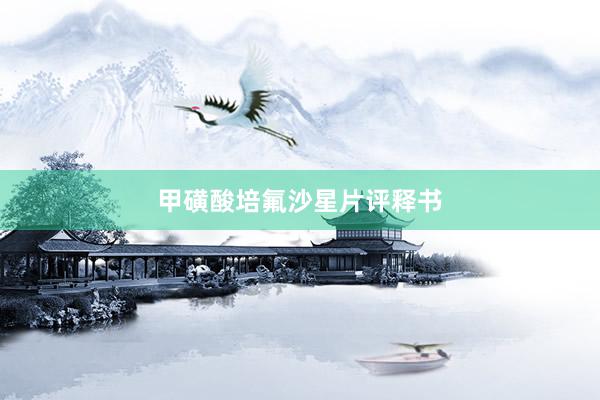 甲磺酸培氟沙星片评释书