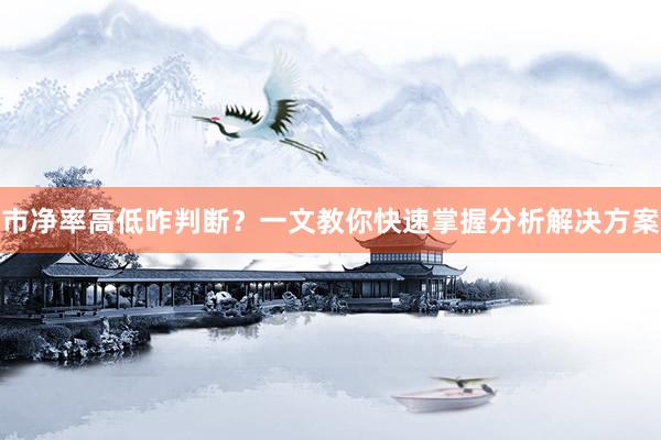 市净率高低咋判断？一文教你快速掌握分析解决方案