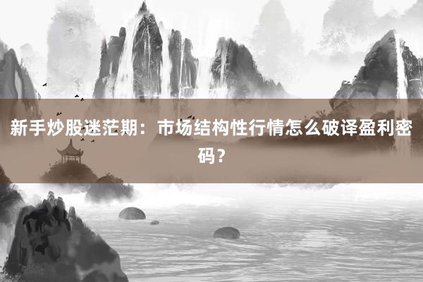 新手炒股迷茫期：市场结构性行情怎么破译盈利密码？