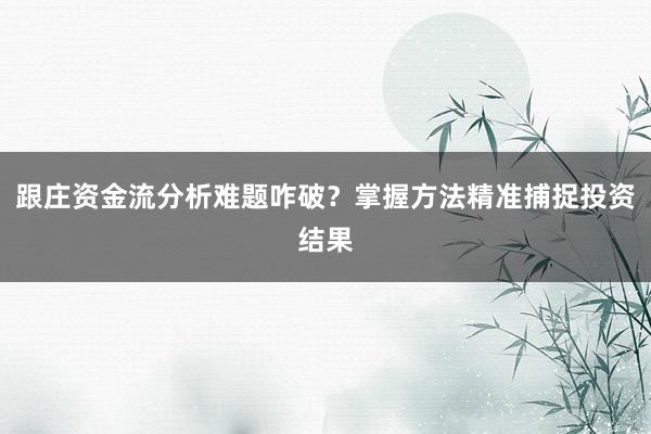 跟庄资金流分析难题咋破？掌握方法精准捕捉投资结果