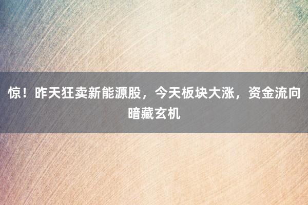 惊！昨天狂卖新能源股，今天板块大涨，资金流向暗藏玄机